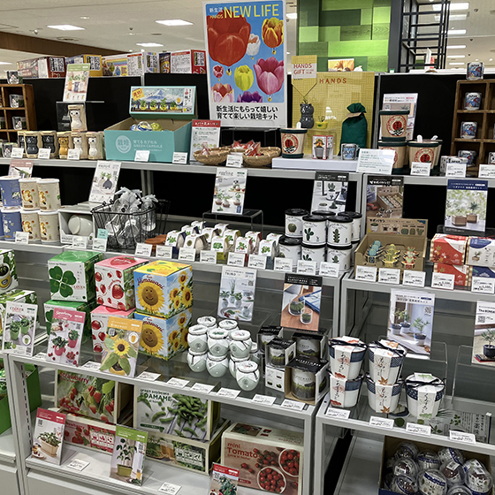 【札幌店】『栽培キット』で新しい生活に彩りを