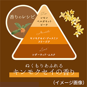 H_フィアンセボディミスト②.jpg